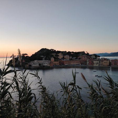 La Vie En Rose Flat Appartement Sestri Levante Buitenkant foto